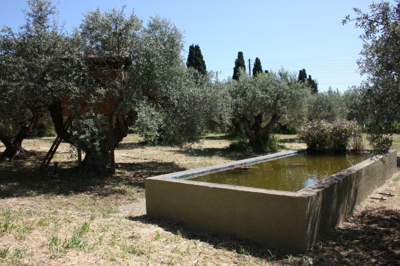 Mercouri Stone Cottage Κορακοχώρι Εξωτερικό φωτογραφία
