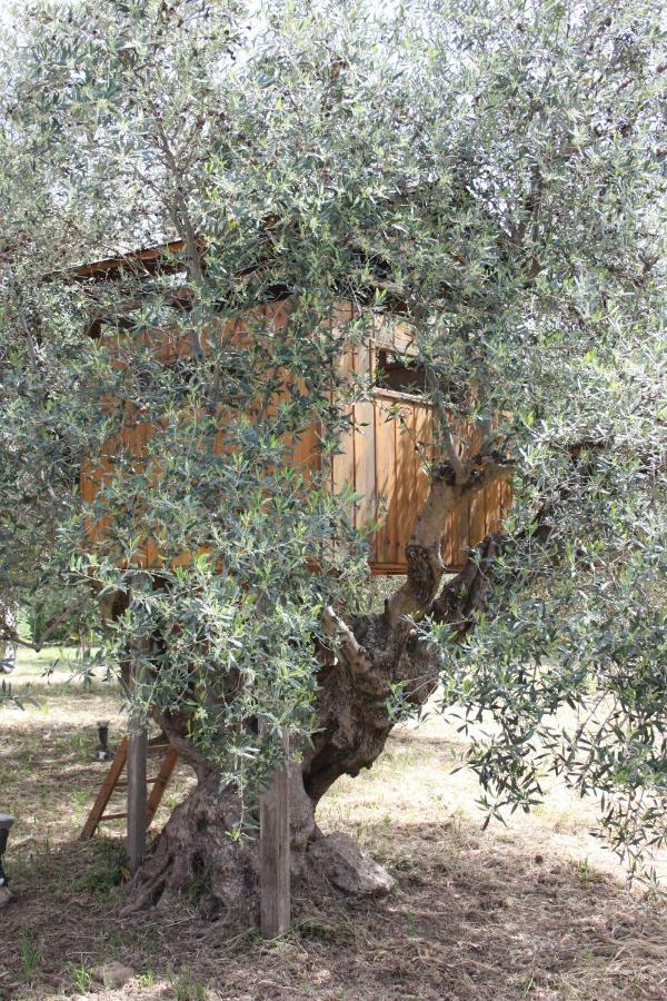 Mercouri Stone Cottage Κορακοχώρι Εξωτερικό φωτογραφία
