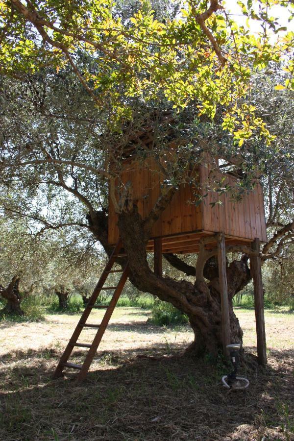 Mercouri Stone Cottage Κορακοχώρι Εξωτερικό φωτογραφία