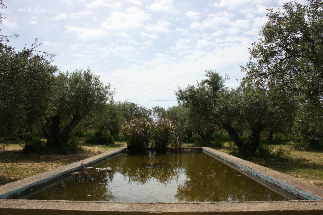 Mercouri Stone Cottage Κορακοχώρι Εξωτερικό φωτογραφία